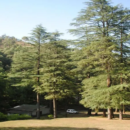 Benog Pines Cottages By Royal Collection Hotels And Resorts-3